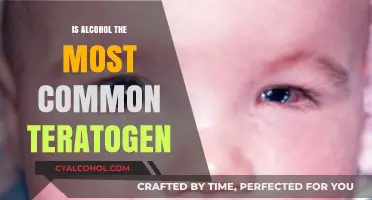 Alcohol's Teratogenic Impact: Is It the Most Common Fetal Risk?