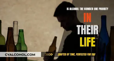 Alcohol: The Priority Stealer in Your Life?