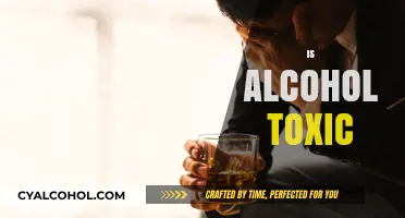 Is Alcohol Toxic? Uncovering the Hidden Dangers of Drinking