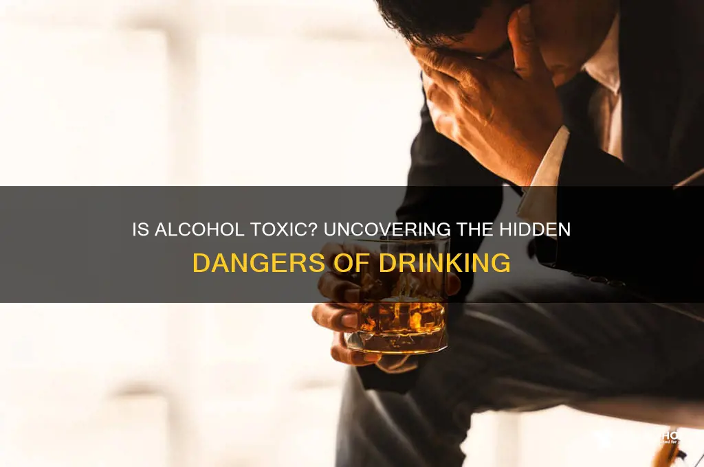 is alcohol toxic