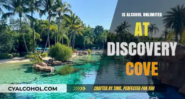 Is Alcohol Unlimited at Discovery Cove? What You Need to Know