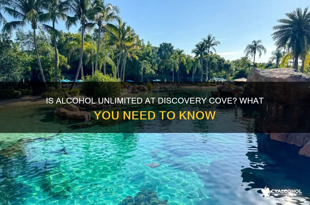 is alcohol unlimited at discovery cove