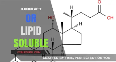 Alcohol Solubility: Understanding Its Water and Lipid Interactions
