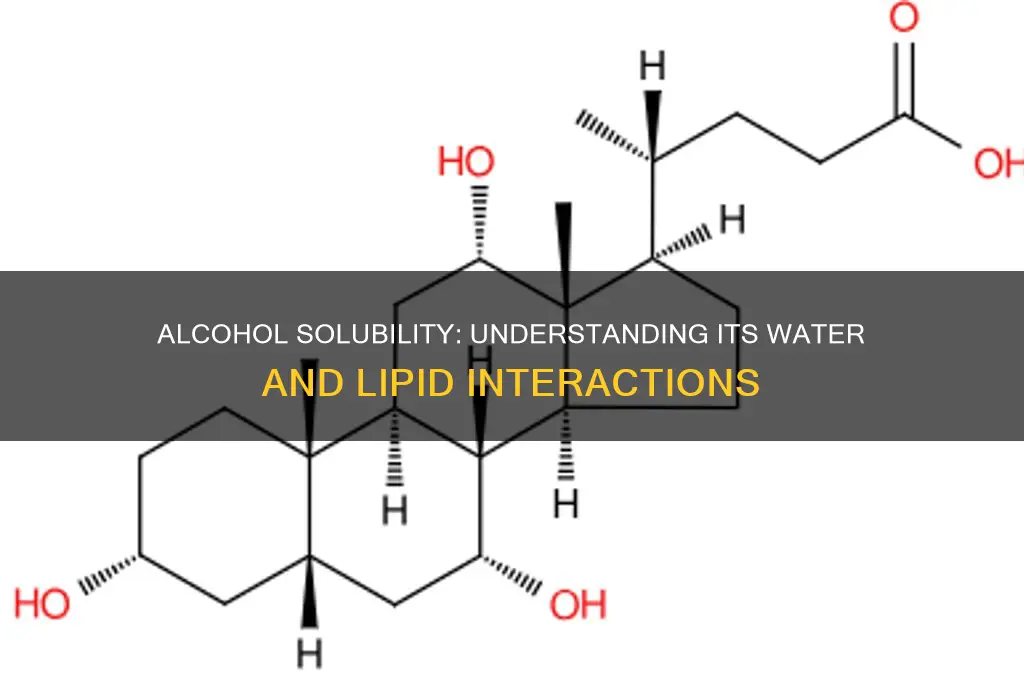 is alcohol water or lipid soluble