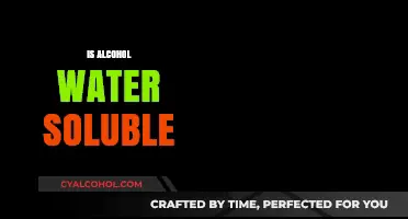 Is Alcohol Water Soluble? Exploring the Science Behind the Mix
