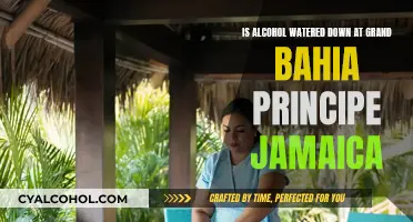 Watered-Down Drinks: Grand Bahia Principe Jamaica's Alcohol Mystery