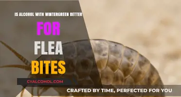 Wintergreen Alcohol: Natural Flea Bite Remedy?