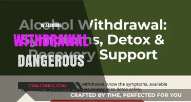 Is Alcohol Withdrawal Dangerous? Understanding Risks and Safe Detox Methods