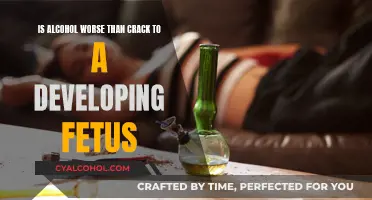 Alcohol vs Crack: Fetal Impact