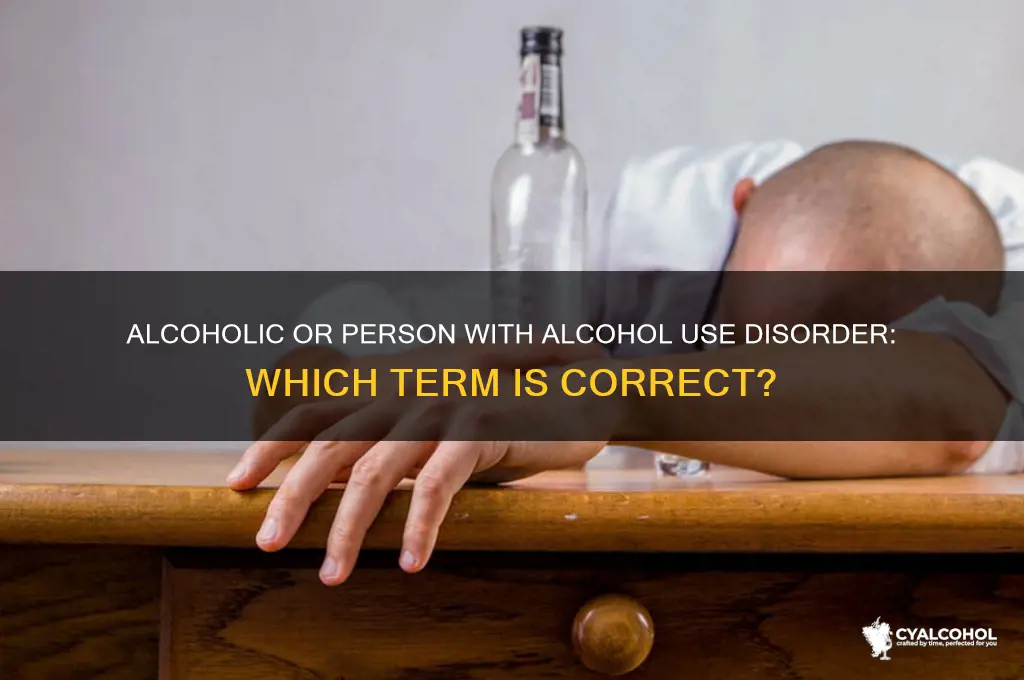 is alcoholic a politically correct term