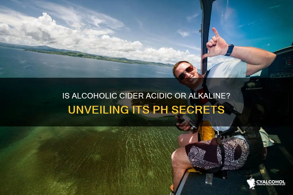 is alcoholic cider acidic or alkaline
