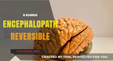 Reversing Alcoholic Encephalopathy: Hope, Treatment, and Recovery Insights