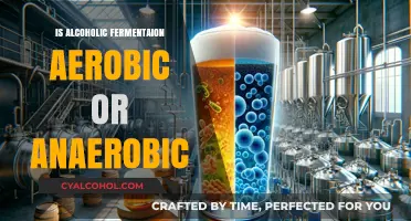 Alcoholic Fermentation: Unveiling Its Aerobic or Anaerobic Nature Explained