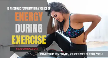 Alcoholic Fermentation: Energy Source for Exercise?