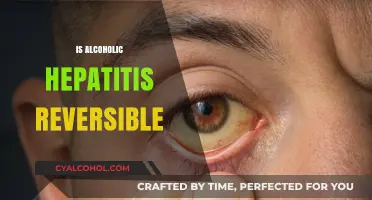 Reversing Alcoholic Hepatitis: Understanding Recovery and Treatment Options