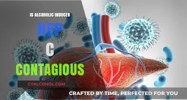Is Alcoholic-Induced Hepatitis C Contagious? Facts and Myths Explained