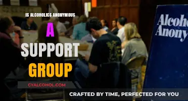 Is Alcoholics Anonymous a Support Group? Exploring Its Role and Impact