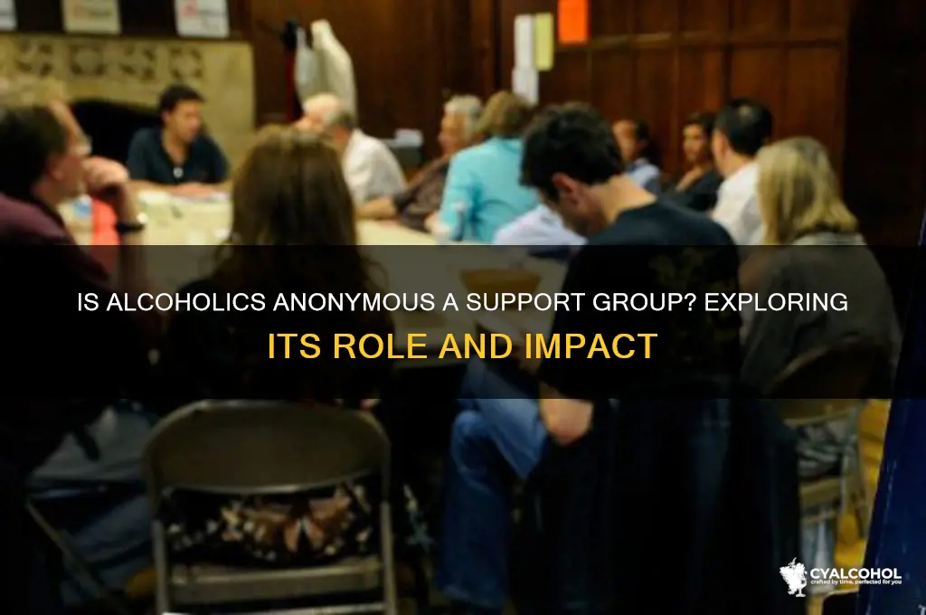 is alcoholics anonymous a support group