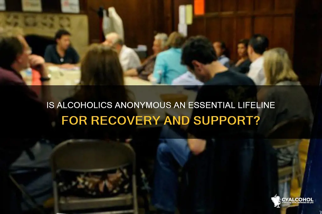 is alcoholics anonymous an essential service