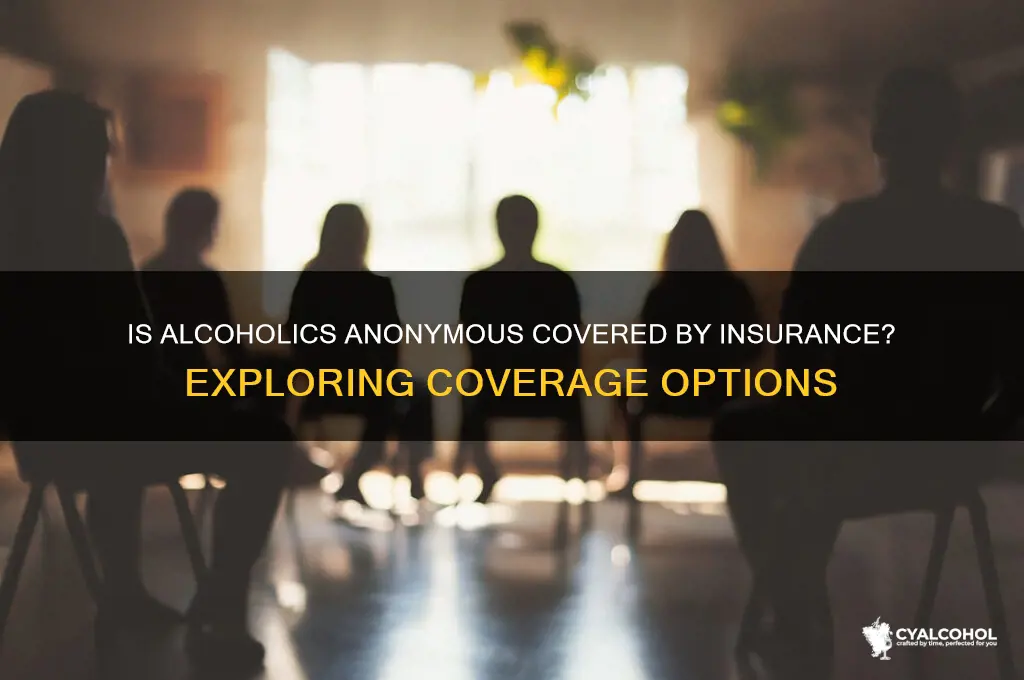 is alcoholics anonymous covered by insurance