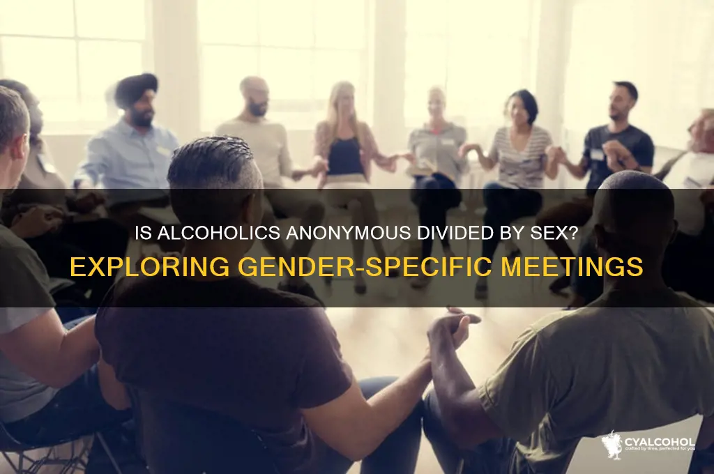 is alcoholics anonymous divided by sex