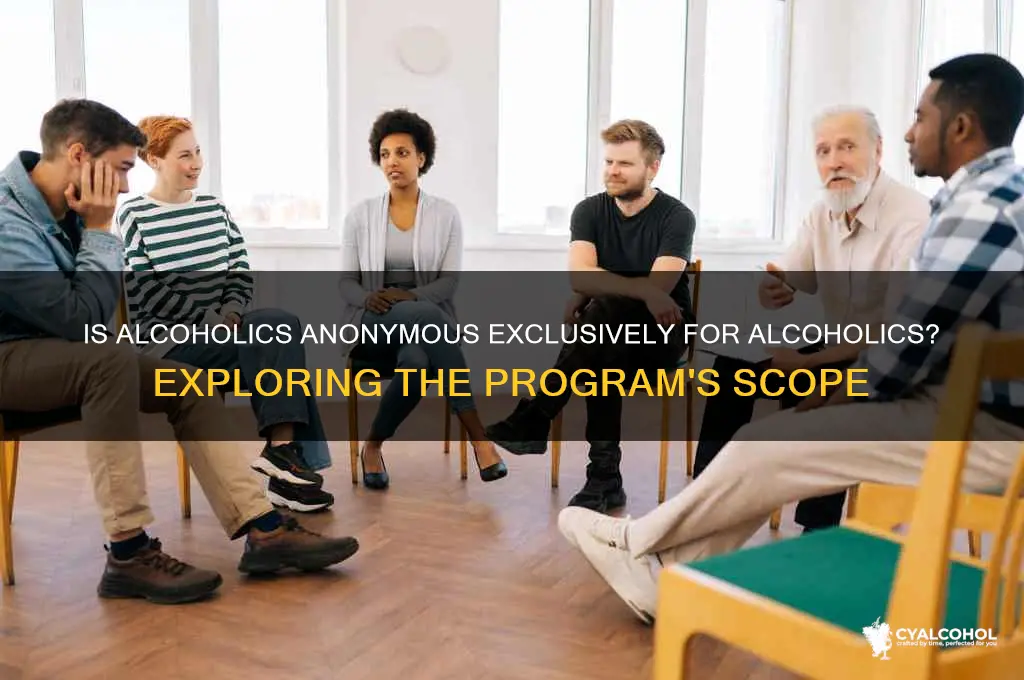 is alcoholics anonymous only for alcoholics