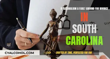 Alcoholism and Divorce: South Carolina's Stance