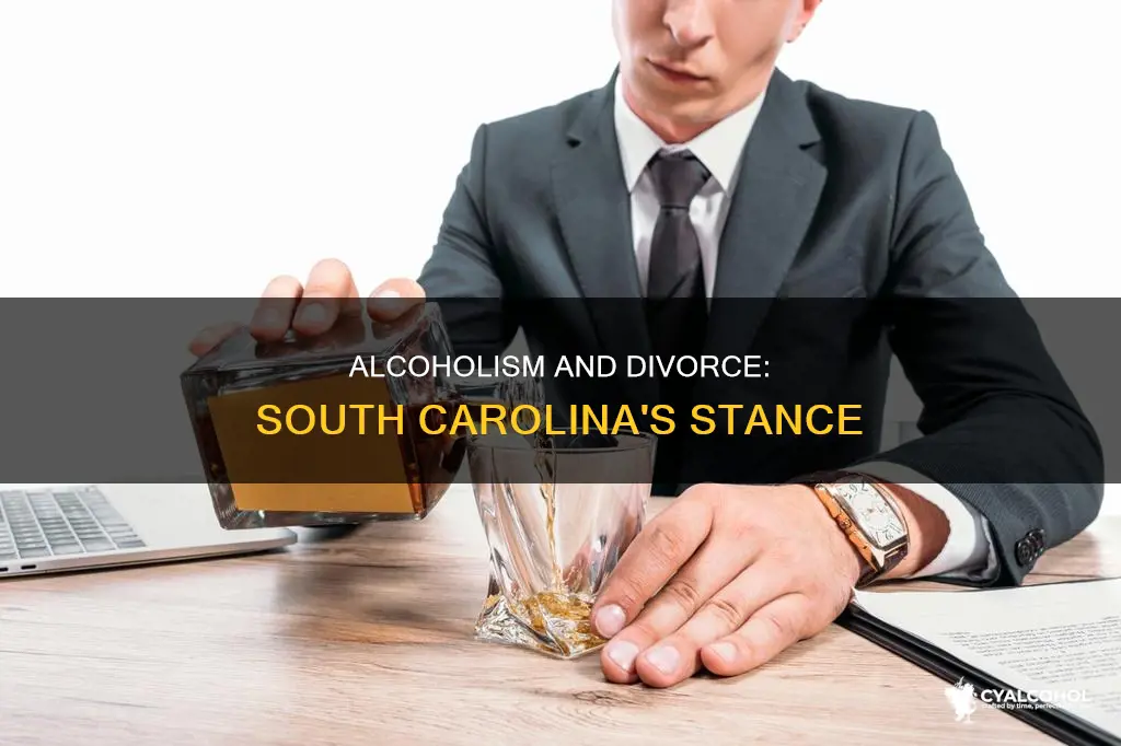 is alcoholism a fault ground for divorce in south carolina