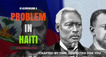Haiti's Alcoholism Crisis: Uncovering the Hidden Struggles and Solutions