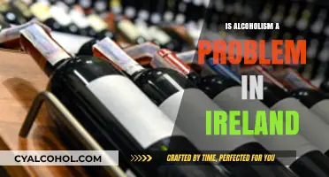 Alcoholism in Ireland: A Growing Concern and Its Impact