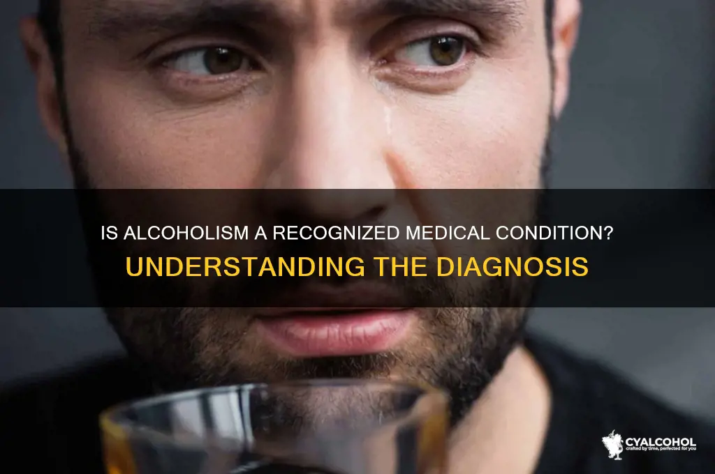 is alcoholism a recognised medical condition