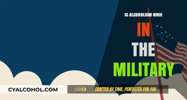 Alcoholism in the Military: A Hidden Crisis and Its Impact