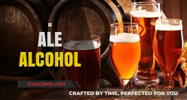 Is Ale Alcohol? Understanding the Basics of This Brewed Beverage