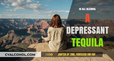 Is Tequila a Depressant? Unraveling Alcohol's Effects on the Brain