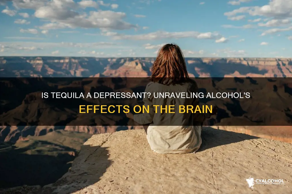 is all alcohol a depressant tequila