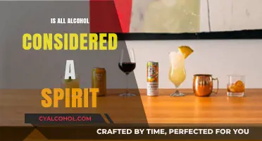 Are All Alcohols Spirits? Unraveling the Confusion in Beverages