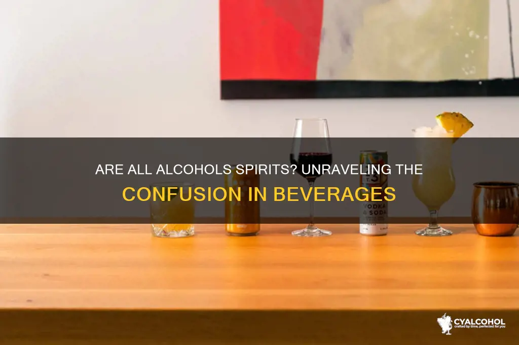 is all alcohol considered a spirit