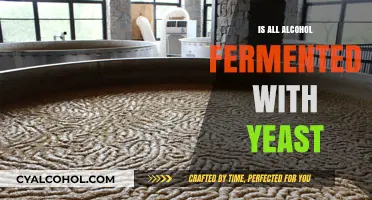 Is All Alcohol Fermented with Yeast? Uncovering the Brewing Truth