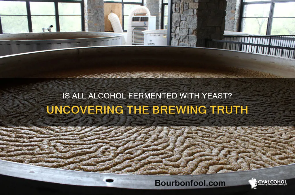 is all alcohol fermented with yeast