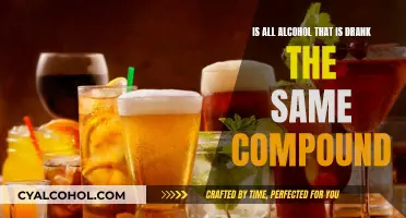Alcohol Diversity: Are All Drinks Chemically the Same?