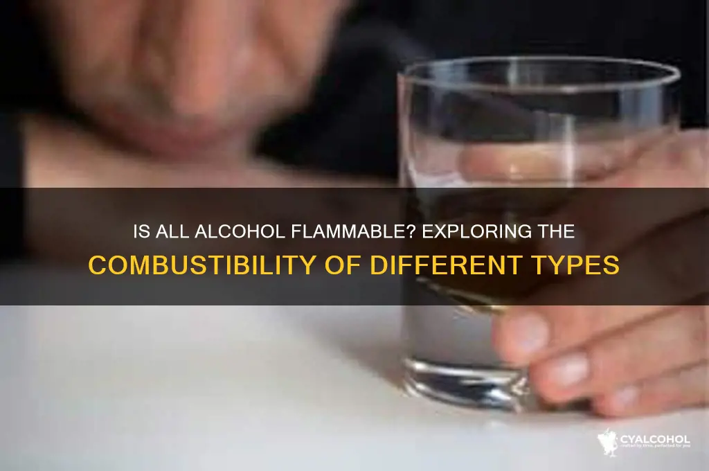 is all type of alcohol flammable