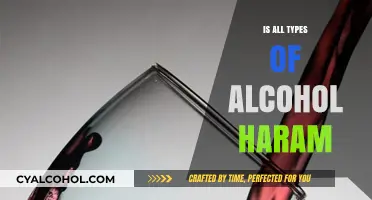Is All Alcohol Haram? Exploring Islamic Perspectives on Intoxicants