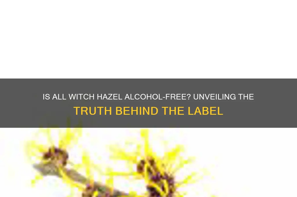 is all witch hazel alcohol free