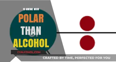 Comparing Polarity: Are Amines More Polar Than Alcohols?