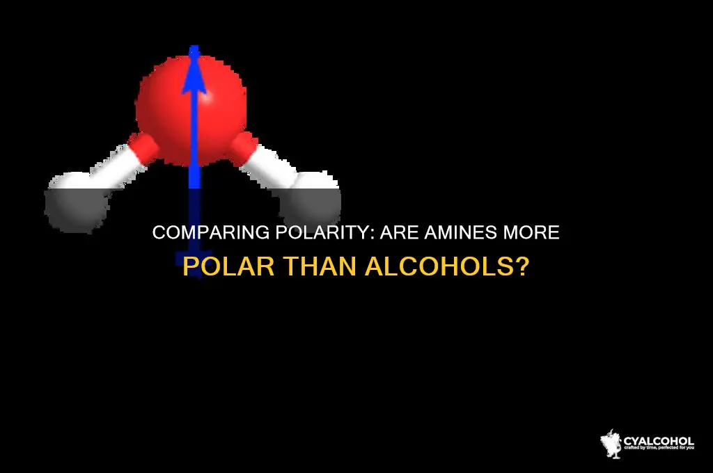 is amine mor polar than alcohol