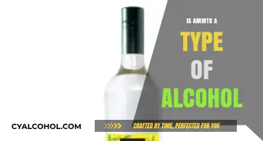 Is Amirto Alcoholic? Unraveling the Mystery Behind This Popular Beverage