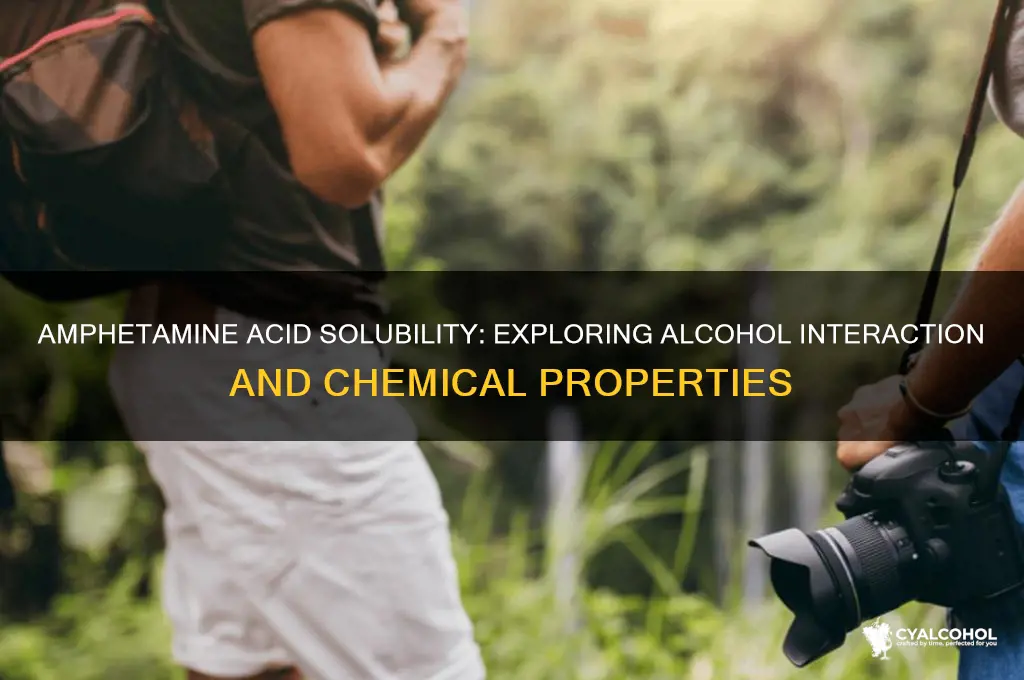 is amphetamine acid soluble in alcohol