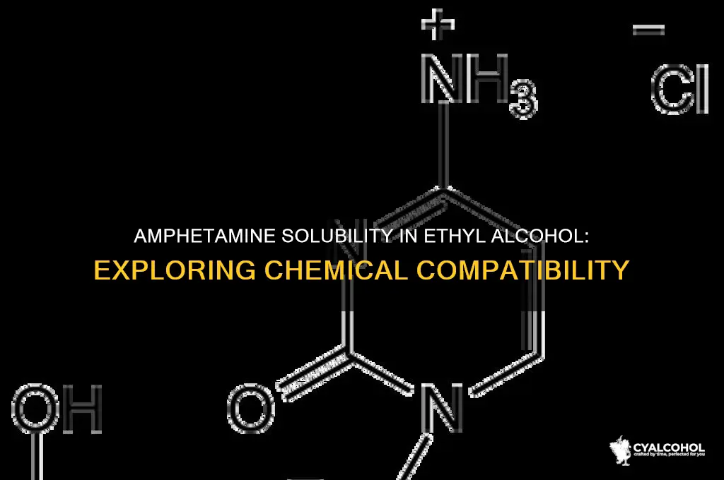 is amphetamine soluable in ethyl alcohol