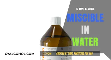 Amyl Alcohol and Water: Exploring Their Miscibility and Solubility