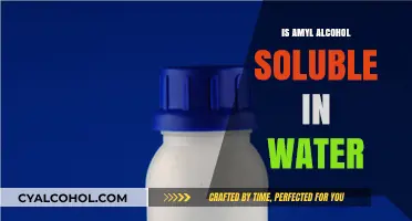 Exploring Amyl Alcohol's Solubility in Water: A Comprehensive Analysis